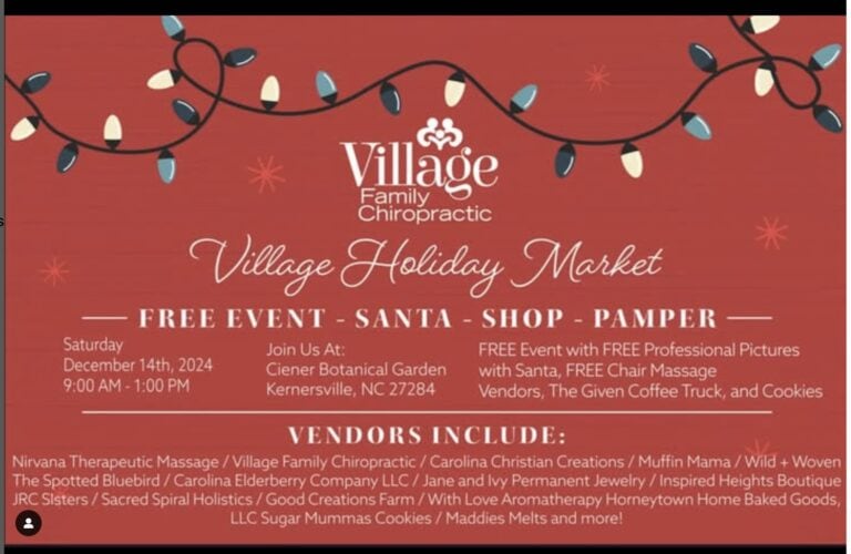 Village Family Chiropractic Holiday Market